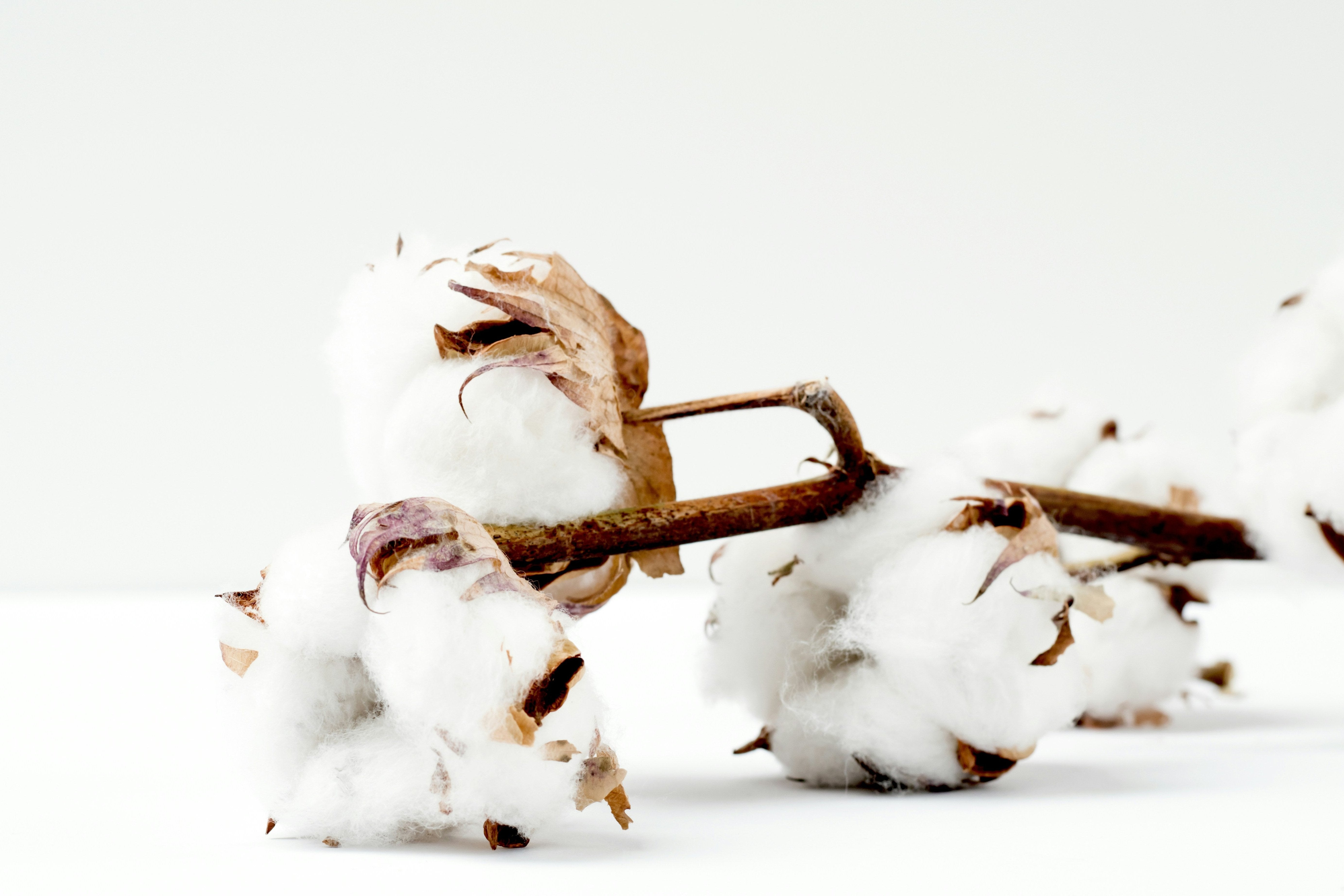 Natural fabric modest clothing